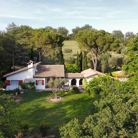 La Villa Del Nonno Montefelcino Dış mekan fotoğraf