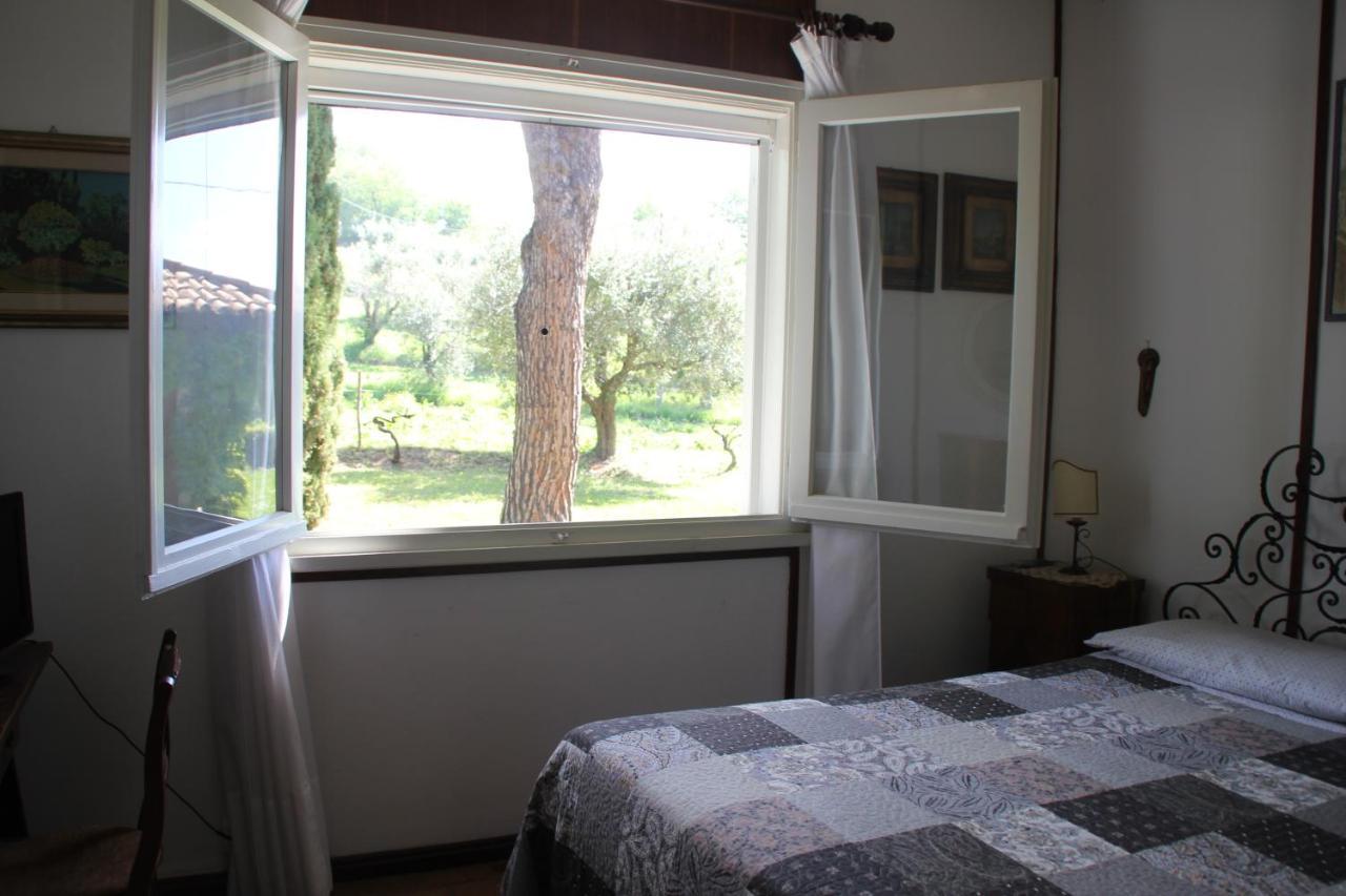 La Villa Del Nonno Montefelcino Dış mekan fotoğraf