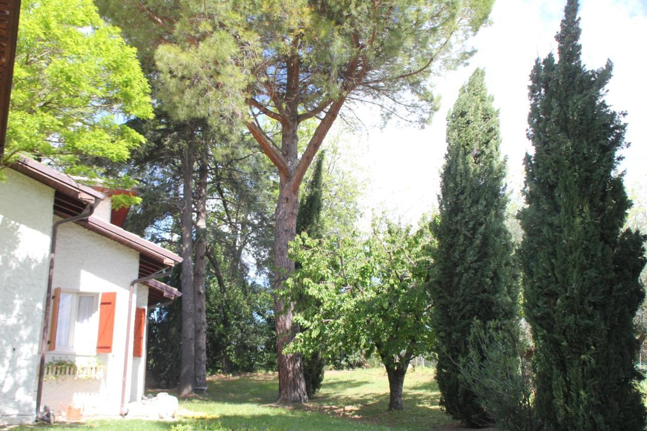 La Villa Del Nonno Montefelcino Dış mekan fotoğraf