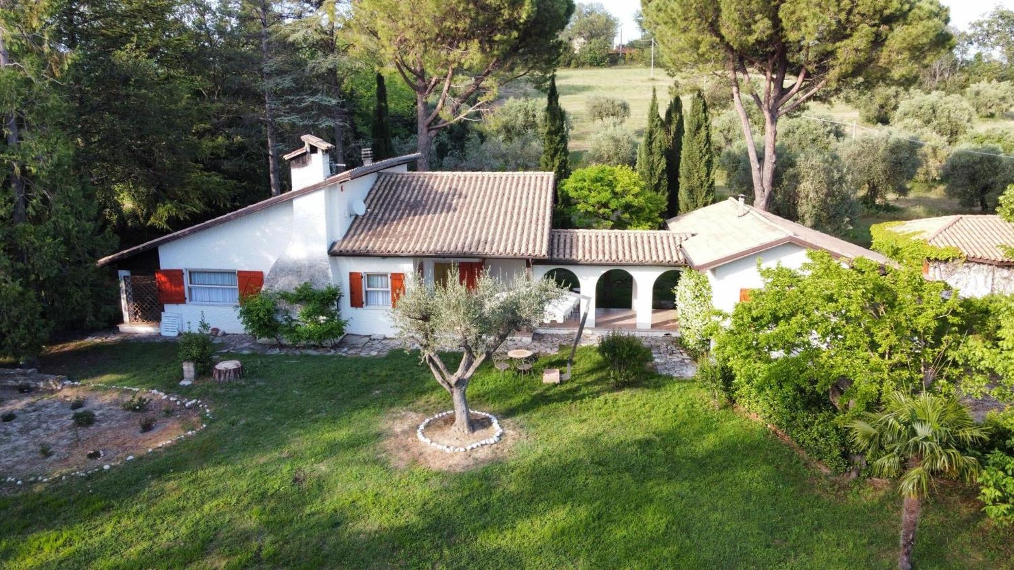 La Villa Del Nonno Montefelcino Dış mekan fotoğraf